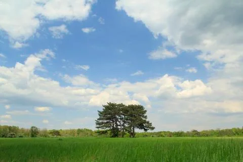 Summer Landscape Stockfoto's