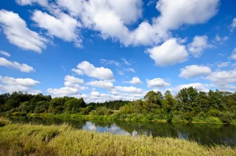Summer landscape Stock Photos