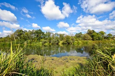 Summer landscape Stock Photos
