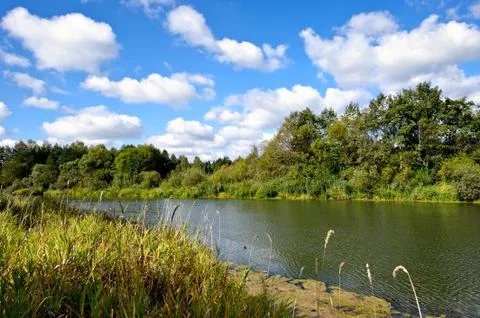 Summer landscape Stock Photos