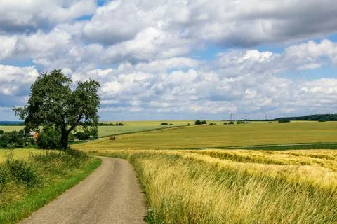 Summer Landscape Stock Photos