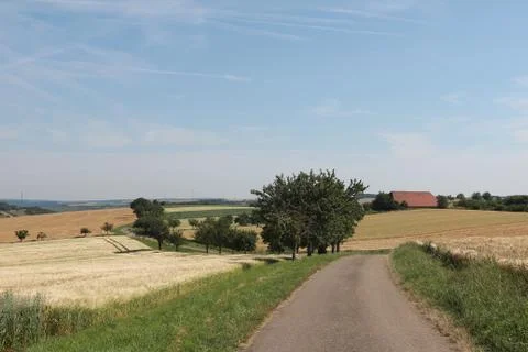 Summer Landscape Stock-Fotos