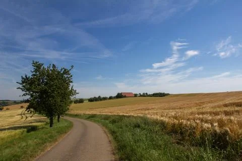 Summer Landscape Stock Photos