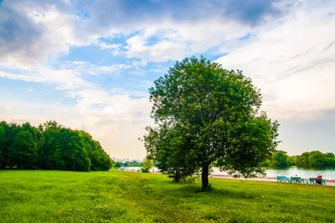 Summer landscape Stock Photos