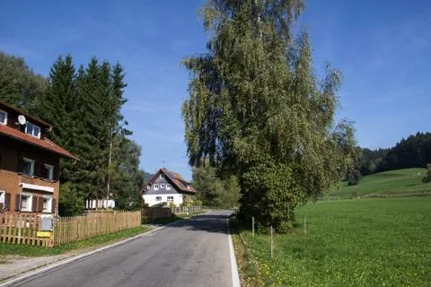 Summer landscape Stock Photos