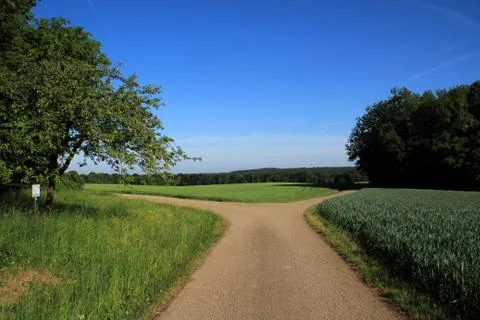Summer landscape Stock Photos