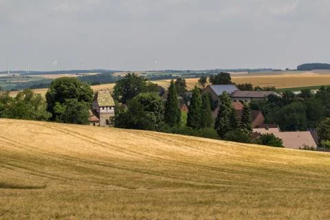 Summer Landscape Stock Photos