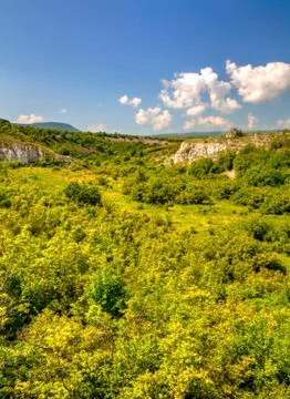 Summer landscape Stock Photos