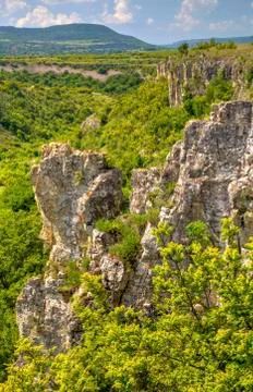 Summer landscape Stock Photos