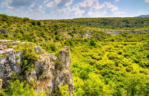 Summer landscape Stock Photos