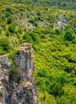 Summer landscape Stock Photos