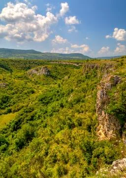 Summer landscape Stock Photos
