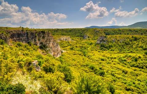Summer landscape Stock Photos