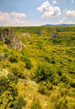 Summer landscape Stock Photos
