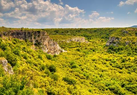 Summer landscape Stock Photos