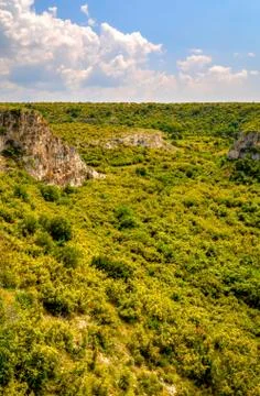 Summer landscape Stock Photos