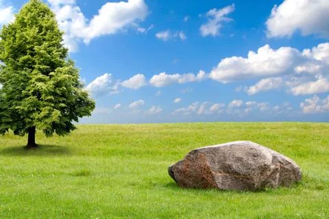 Summer Landscape Stock Photos