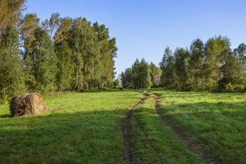 Summer Landscape Foto stock