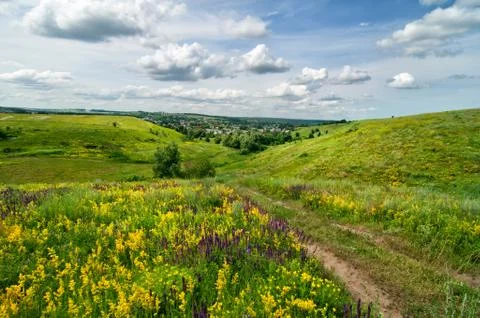 Summer landscape Stock-Fotos