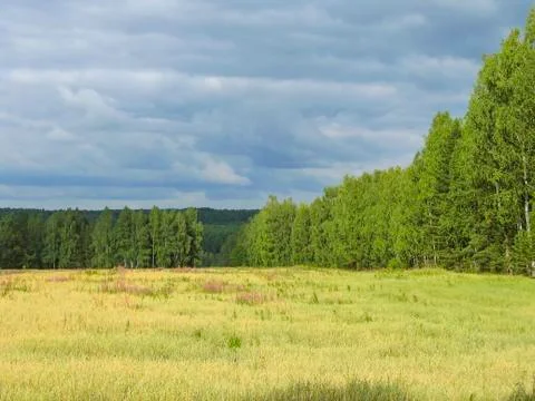 Summer landscape Stock Photos