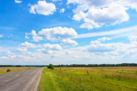 Summer landscape Stock Photos