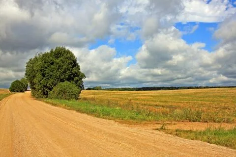 Summer landscape Stock Photos