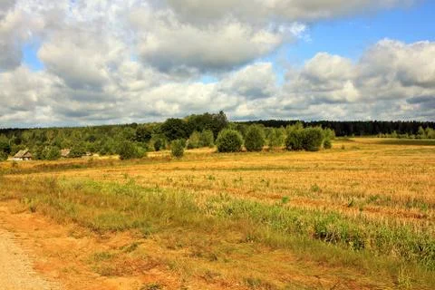Summer landscape Stock Photos