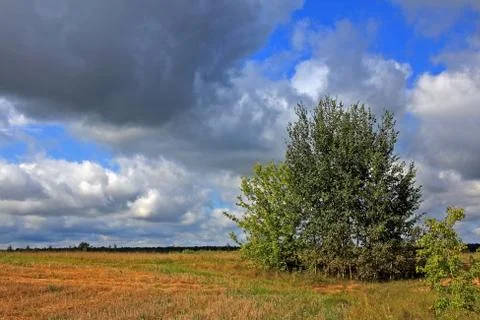 Summer landscape Stock Photos
