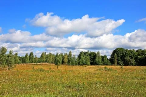 Summer landscape Stock Photos