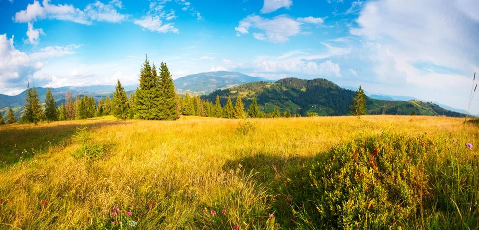 Summer landscape Foto stock