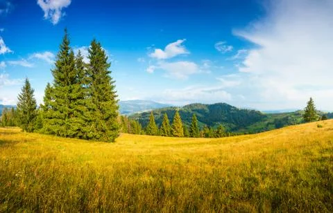 Summer landscape Stock-Fotos