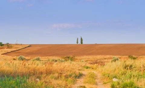 Summer landscape Stock Photos