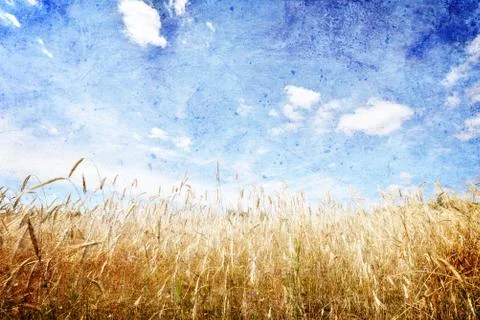Summer landscape Stock Photos