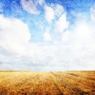 Summer landscape Stock Photos