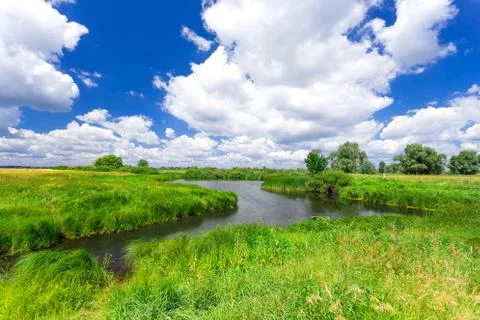 Summer landscape Stock Photos