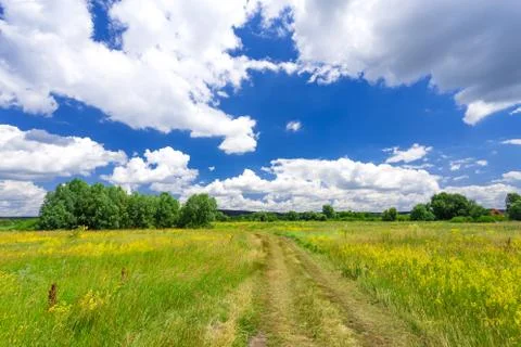Summer landscape Stock Photos
