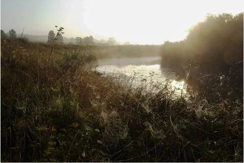 Summer landscape Stock Photos