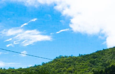 Summer landscape 库存照片
