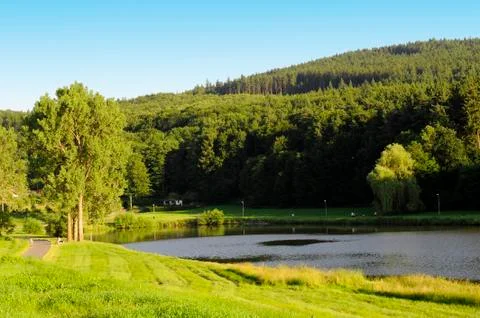 Summer landscape Foto stock