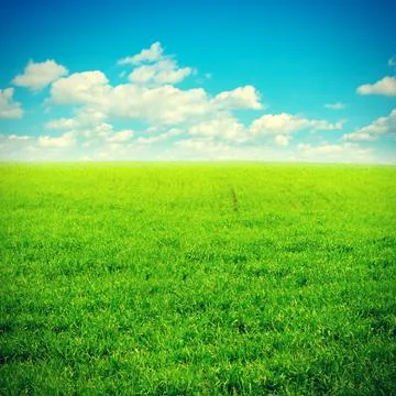 Summer Landscape Stock Photos