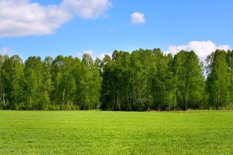 Summer landscape Foto stock