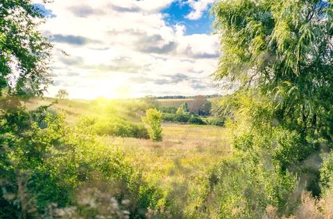 Summer landscape Stock Photos