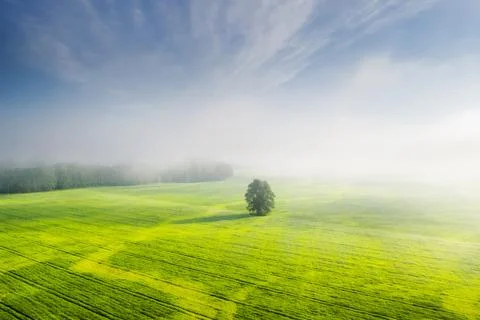 Summer landscape Stock Photos