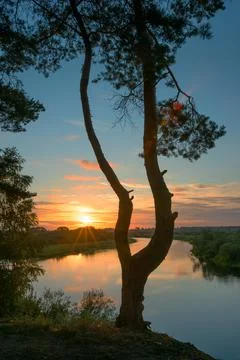 Summer landscape Stock Photos