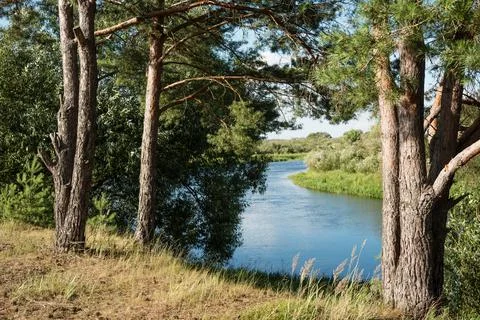 Summer landscape Stock Photos