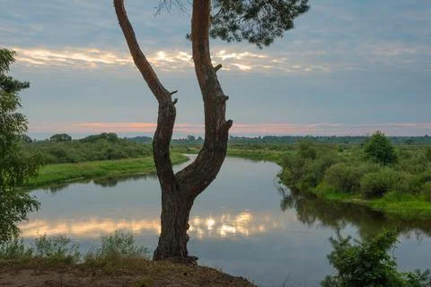 Summer landscape Stock Photos