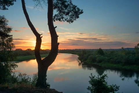 Summer landscape Stock Photos