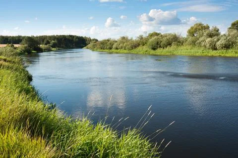 Summer landscape Stock Photos