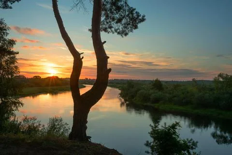 Summer landscape Stock Photos