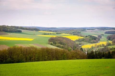 Summer landscape Stock Photos